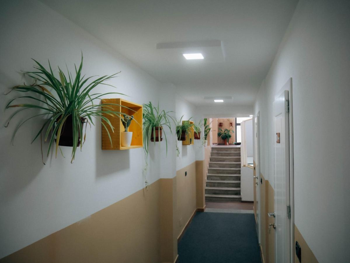 The Maze Hostel Tiranë Eksteriør bilde